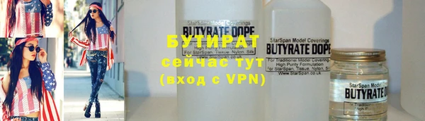 твердый Вяземский