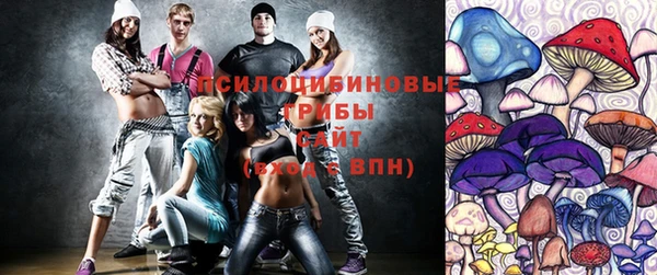 твердый Вяземский