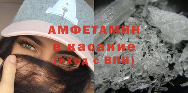 твердый Вяземский