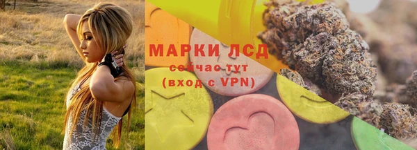 СК Вязники