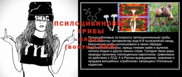 СК Вязники