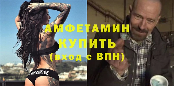 твердый Вяземский