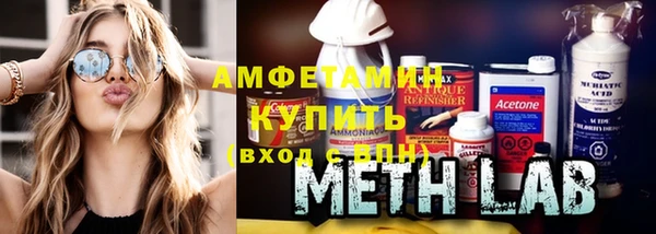 твердый Вяземский