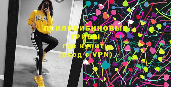 твердый Вяземский