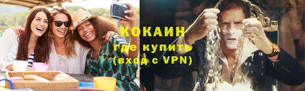 твердый Вяземский